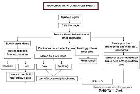 Inflammation – How you can help! – Living Chiropractic