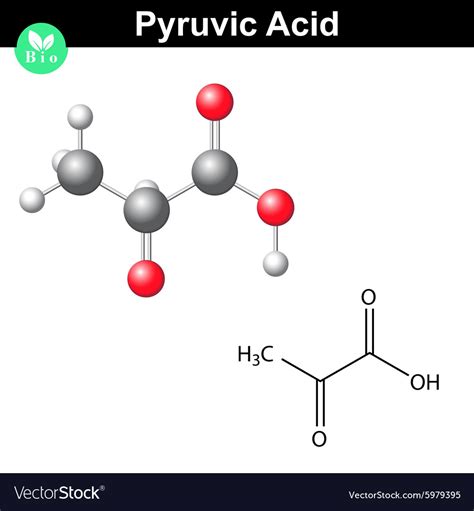 Pyruvic acid molecule Royalty Free Vector Image