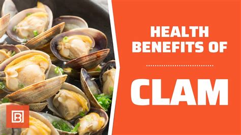 Health benefits of Clam: A great seafood to include in your diet! - YouTube