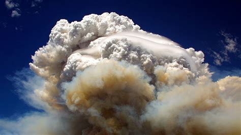 Intense wildfires can push ozone-damaging smoke high into the air ...