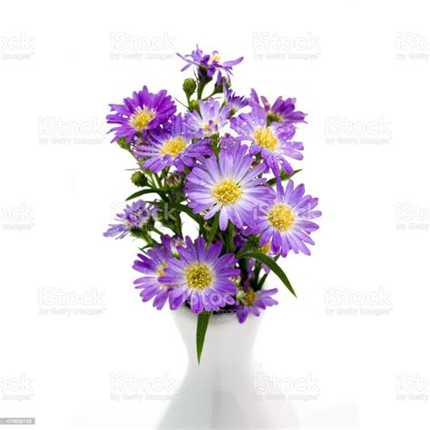 Purple Daisy Bouquet