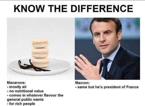 15 of the Best French Memes. Silly Jokes All Year! - Majestic Memes