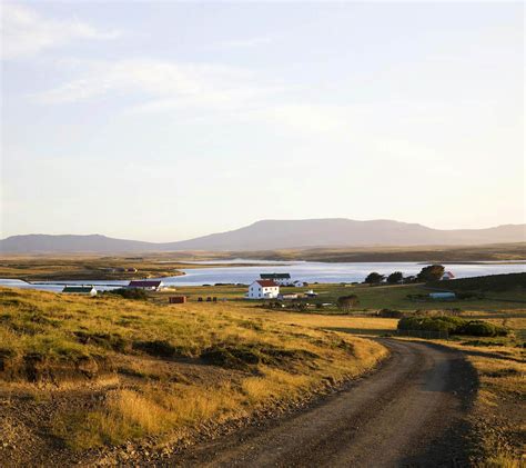 East Falkland travel | Falkland Islands (Islas Malvinas) - Lonely Planet