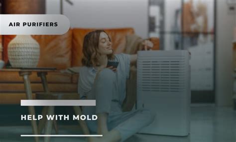 Do Air Purifiers Help with Mold? Exploring Their Effectiveness - 2023 Guide