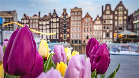 Amsterdam Welcomes the World for Famous Tulip Season – Hotel Magazine