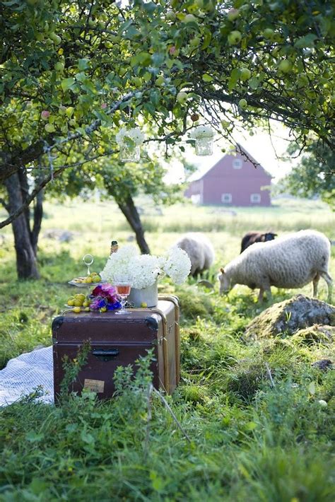 Elegant picnic in the countryside. Country Picnic, Country Farm ...