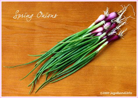 Spring Onion - Nutrition, Calories, Growing, Benefits and Uses