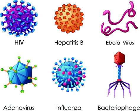 Pathogenic Viruses - Endobios