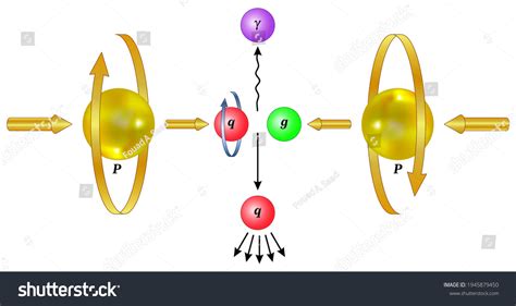 Spin Angular Momentum Spin One Two Stock Vector (Royalty Free ...