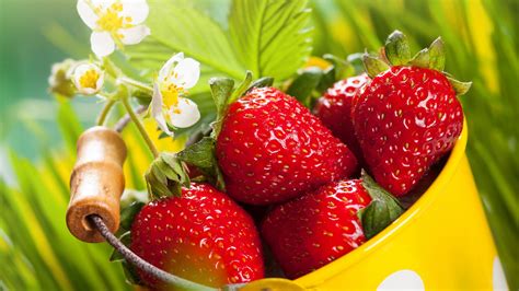 Download wallpaper 1920x1080 strawberries, basket, fresh fruits, full hd, hdtv, fhd, 1080p ...