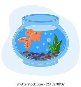 Illustration Round Glass Aquarium Goldfish Cartoon Stock Illustration 2145278909 | Shutterstock