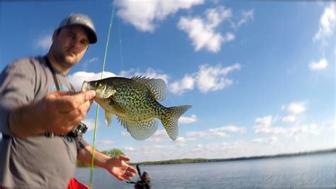 Catch MORE Crappie with these 3 easy fishing Techniques (Spring Fishing ...