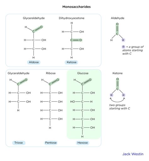 Monosaccharides - Carbohydrates - MCAT Content