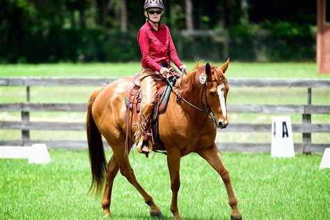 What Exactly is Western Dressage? - Cathy Drumm