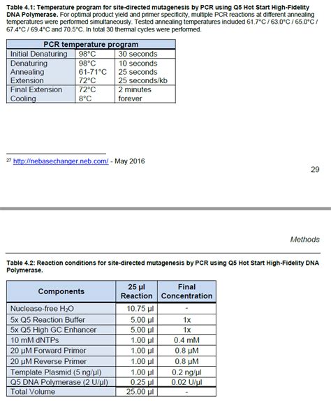 Incorrect band size: Q5 Site-Directed Mutagenesis?