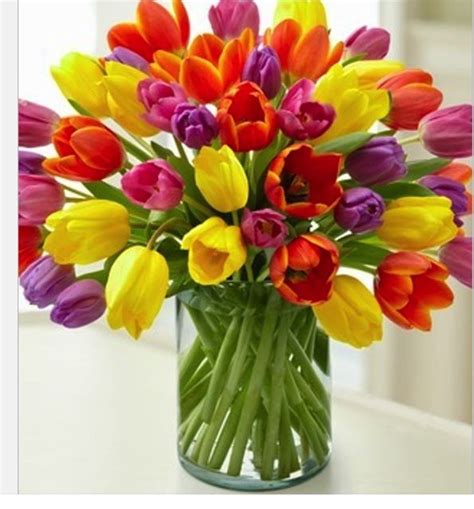 flower | Tulip bouquet, Tulips arrangement, Tulips flowers