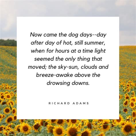 The Best "Dog Days of Summer" Quotes - PuppyLists