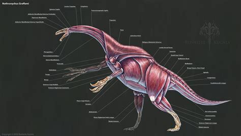 Nothronychus Graffami Muscle Study by TheDragonofDoom on DeviantArt | Prehistoric animals ...