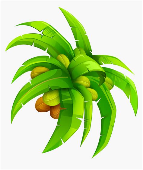 Leaf Coconut Euclidean - Coconut Leaf Vector Png, Transparent Png ...