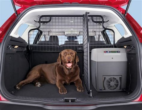 Dog Guards - Johnstone's Garage, Kirkby Stephen, Cumbria