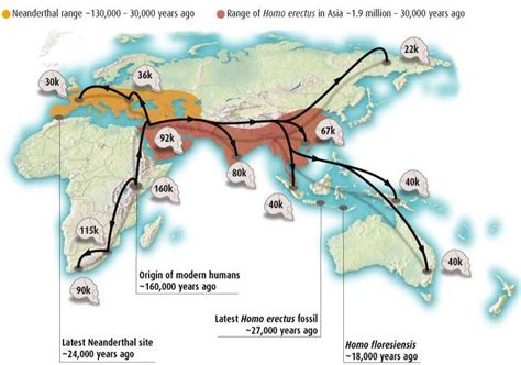 Human evolution, Ancient humans, Human migration