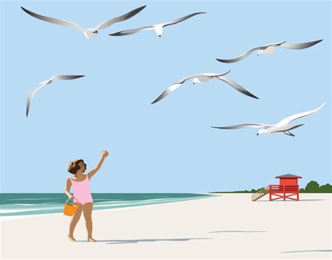 Only in Sarasota: Seagulls on Siesta Beach | Sarasota Magazine