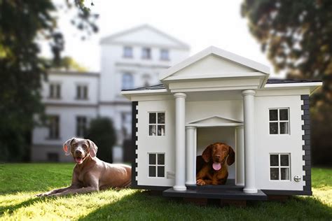 15 Cool Dog Houses For Your Furry Friend - Housely