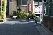 Category:Road child safety signs in Japan - Wikimedia Commons