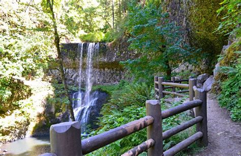 13 Top-Rated Hiking Trails in Oregon | PlanetWare