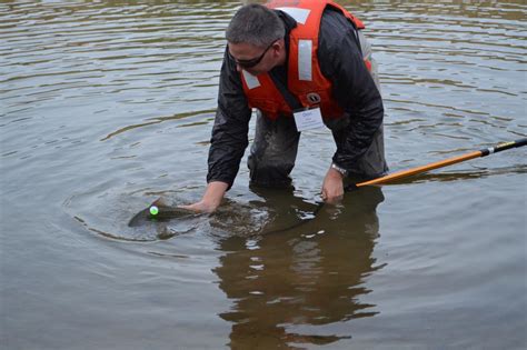 Images from the San Joaquin River Restoration Tour - Water Education ...