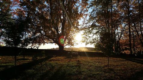 A fall sunset through the trees at Delaware's Brandywine Creek State Park : r/pics