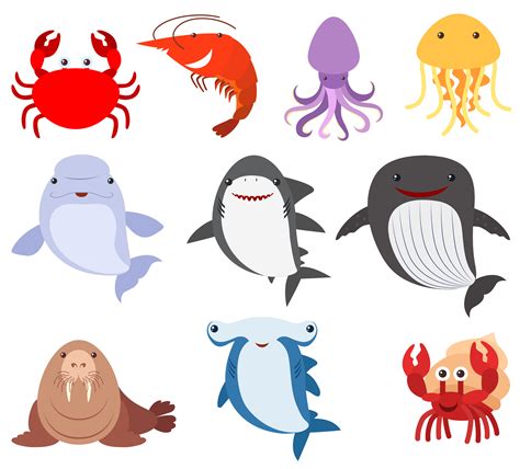 Many types of sea creatures 302531 Vector Art at Vecteezy