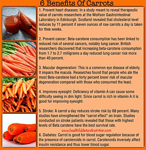 How Many Carrots a Day? Benefits and Risks of Daily Carrot Consumption - PlantHD