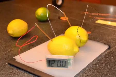 Lemon Battery Experiment for Kids