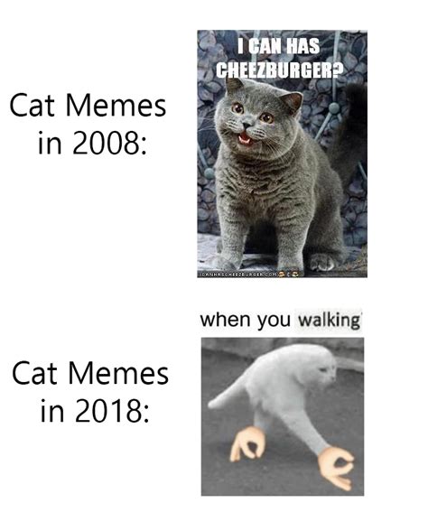 Walking Cat Meme