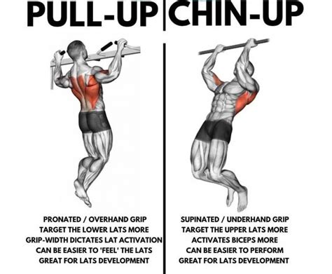 How To Train For Pull Ups At Home Without A Bar at Rick Runnels blog