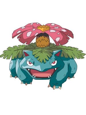 Venusaur Plush - PlushtoyKingdom.com