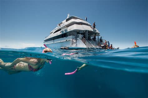 Cairns Helicopter Flight & Great Barrier Reef Tour Combo Deals | Snorkel & Dive