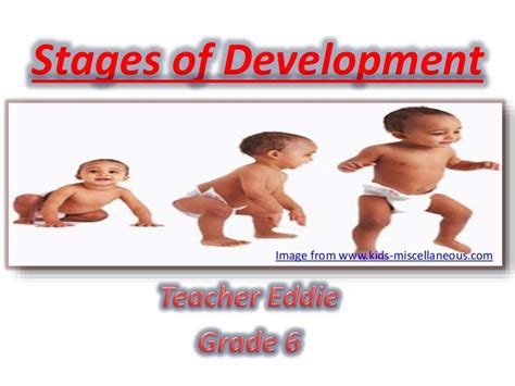 Stages of Development