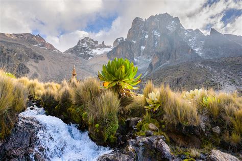 Kenya: Mount Kenya National Park – VIDEO (en.infoglobe.cz)