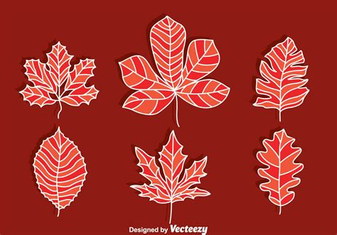 Hand Drawn Japanese Maple Vector 160033 Vector Art at Vecteezy