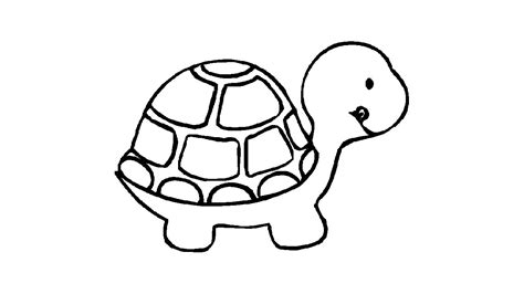 Turtle Image Drawing at GetDrawings | Free download