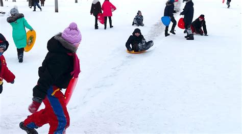 The Top 9 Kids Sleds for Maximum Fun This Year - Backyard Boss