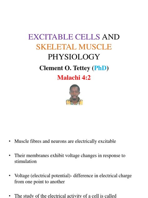 Excitable Cells and Skeletal Muscle Physiology | PDF | Muscle ...