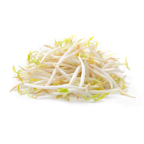 Bean sprouts | Walmart Canada