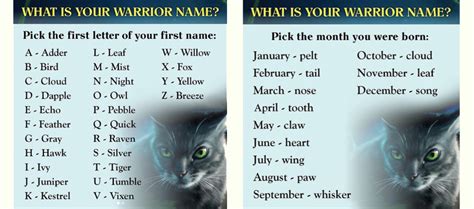 Find Out Your Warrior Name | Warrior Cats in 2020 | Warrior names ...