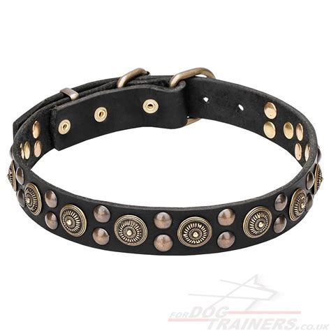 Posh Dog Collars Design | Classy Dog Collars - £38.01