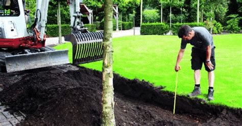 How to Plant Hedges | Planting Hedges | InstantHedge Blog