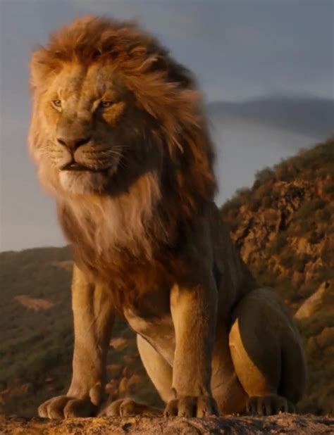 Mufasa | The Lion King (2019 film) Wiki | Fandom