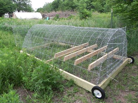 Hey Bob, what is the size of your chicken tractor? Description from curiousnaturalist.blogspot ...